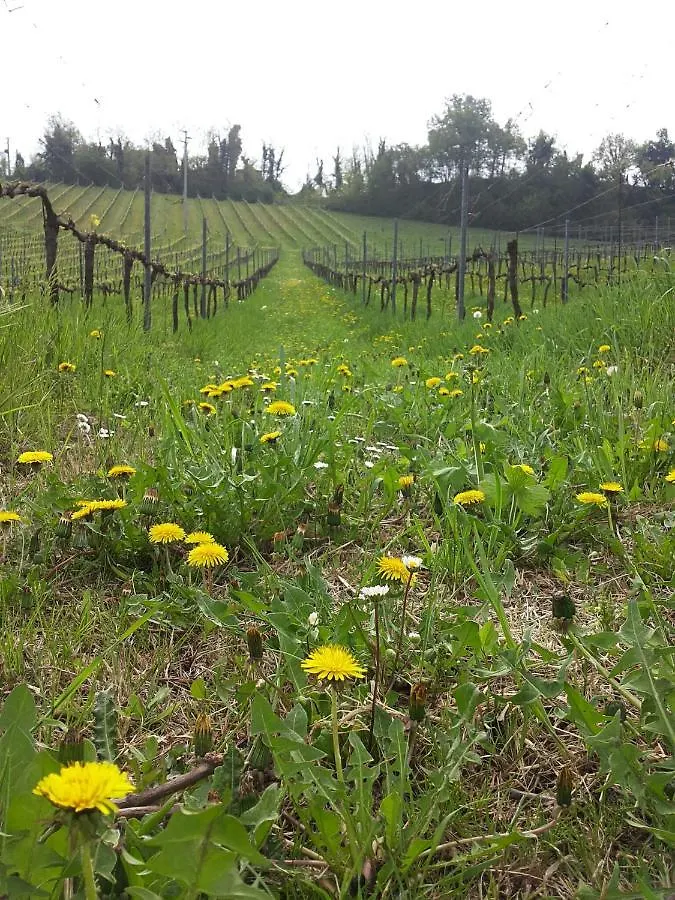 Eco B&B Erba Lucciola Monte San Pietro