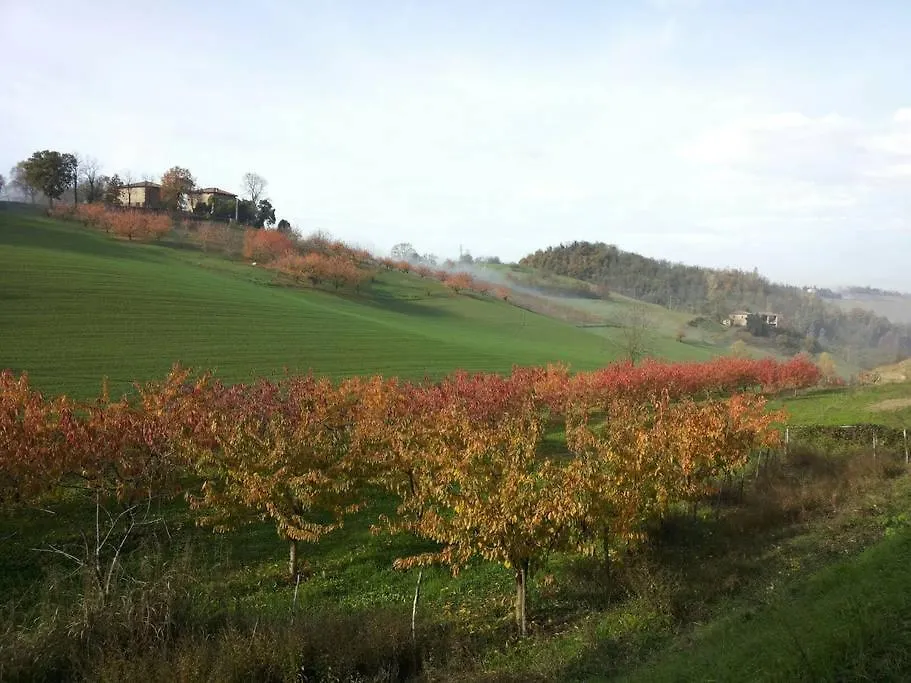 Eco B&B Erba Lucciola