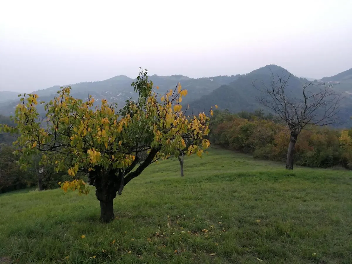 Eco B&B Erba Lucciola 0*, Monte San Pietro Italy